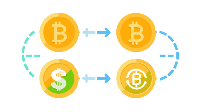 Cryptocurrency Blockchain Bitcoin Digital Currency Icon Set Flat Vector Illustration Isolated Collection
