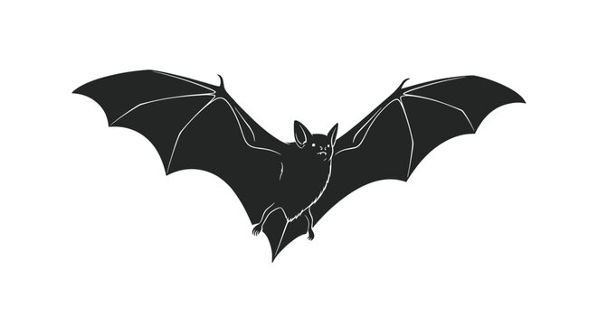 Black bat silhouette with fully extended wings is captured in a flight pose against a stark white background.