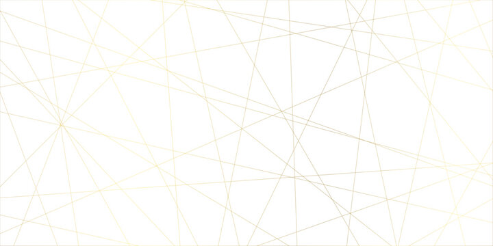 Abstract line background. abstract black lines with white background creative and geometric shape with white luxury pattern and paper texture and geometric shape with white luxury style.