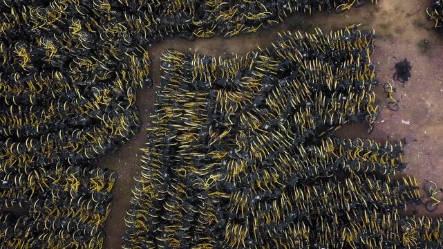 Aerial top down view of thousands of abandoned shared bikes piled up in a massive bicycle graveyard