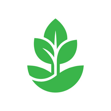 Leaf illustration symbol for green design