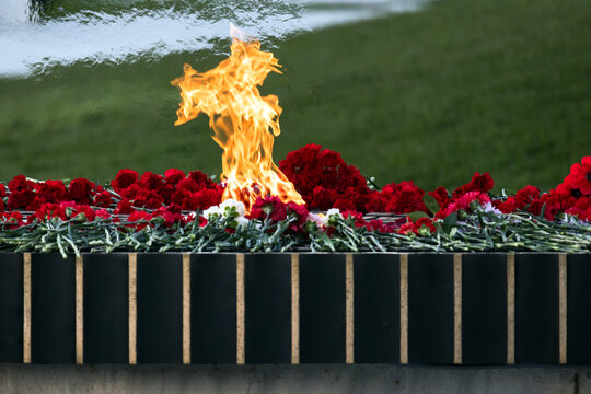 Mass grave outdoor military memorial features a bright flame among red carnations, resting on a black and gold base. A poignant scene of remembrance, tribute, and respect