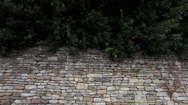 Ancient stone wall with lush green trees and lateral camera slider movement