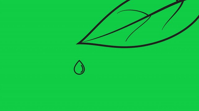 Line art animation of leaf with water droplet falling from tip,  motion design for nature, eco, and creative projects