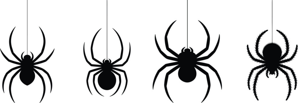 spider silhouettes set, hanging spiders vector illustration, creepy halloween design collection, black arachnid icons isolated on white background graphic