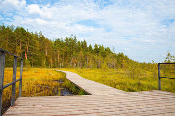 Wooden boardwalk winding through a swamp and forest. Eco trail path for nature walking and hiking. Outdoor observation platform in a wilderness park, landscape perspective concept. © Анастасия Бурлакова