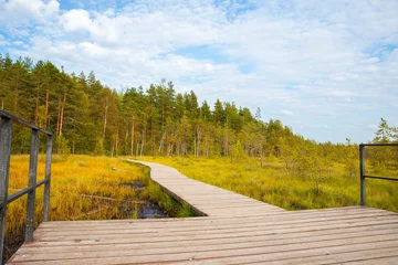 Fototapeten Waldweg Wooden boardwalk winding through a swamp and forest. Eco trail path for nature walking and hiking. Outdoor observation platform in a wilderness park, landscape perspective concept.  © Анастасия Бурлакова