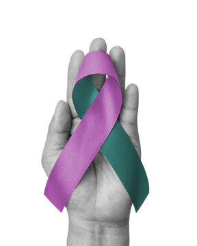 Teal purple ribbon awareness for Sexual Assault, Domestic Violence, World Suicide Prevention Day, trauma and abuse awareness ribbon color isolated on white background (clipping path)