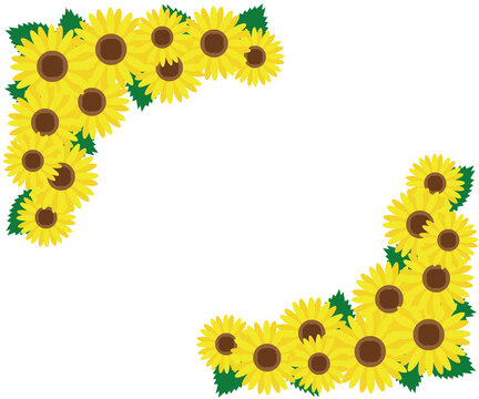 夏のヒマワリのフレーム