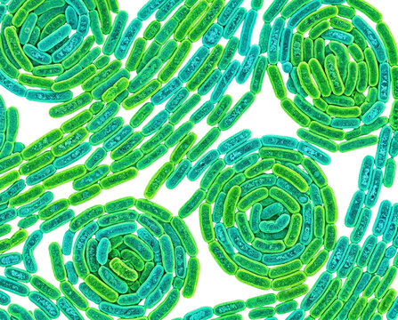 Isolated Vibrant microorganism colony composed of rod-shaped bacilli bacteria in bright n