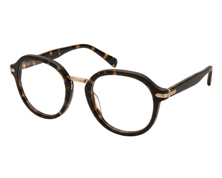 Isolated Oversized black tortoiseshell-texture eyeglasses with rounded frames, matte fini