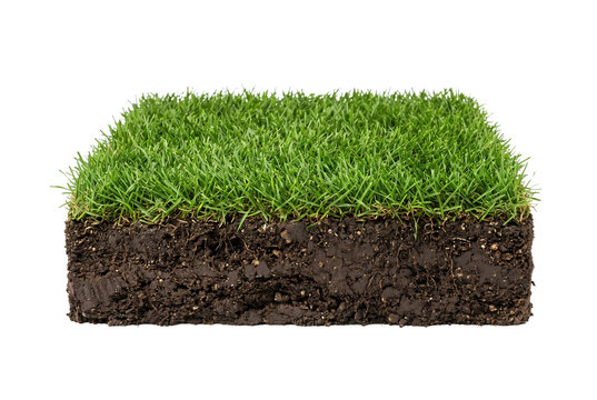 Isolated Square cut grass patch showing layered soil foundation in chocolate brown beneat
