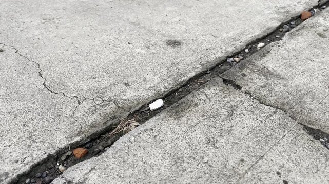 Deep Crack on Concrete Road Surface