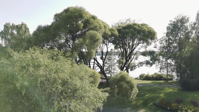Aerial drone rising view of Aulanko Nature Reserve Hameenlinna Finland with green park, trees and bench with lakeside glimpse creating calm outdoor natural scene