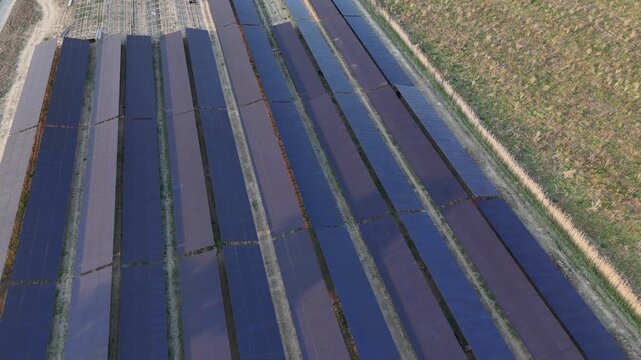 Parallel rows of solar panels create strong geometric lines and reflections, revealing the organized layout of a photovoltaic installation within a rural landscape