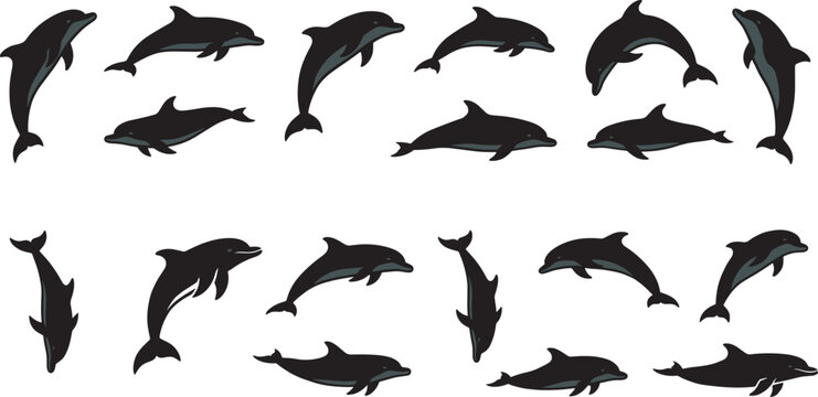 Black silhouette vector illustration of dolphins in dynamic swimming and jumping poses, showcasing marine life movement and aquatic animal design