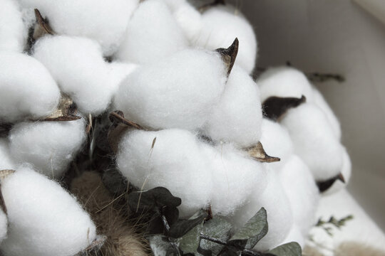 It is a close-up of a cotton bouquet.
