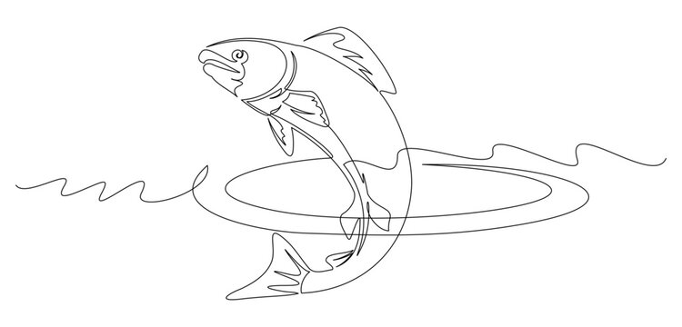 continuous line drawing of tuna fish illustration.eps