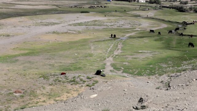 Man praying in a field in Afghanistan