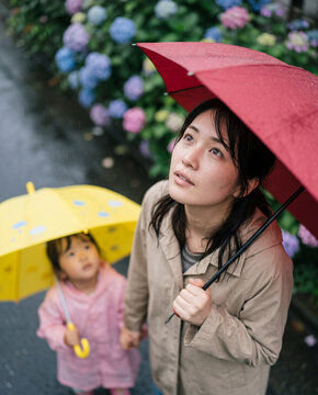 雨の日に紫陽花の道を歩く親子