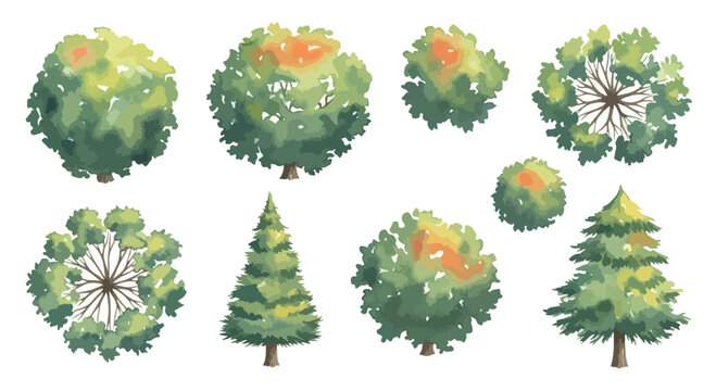 Watercolor tree collection with 9 green plant elements, hand painted forest trees and bushes, architectural landscape vegetation vector set