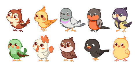 Bird breeds. Funny little feathered friends, kids design, cute cartoon characters, adorable sparrow, pigeon, titmouse and bullfinch, wildlife colorful animals tidy vector isolated mascot set © YummyBuum