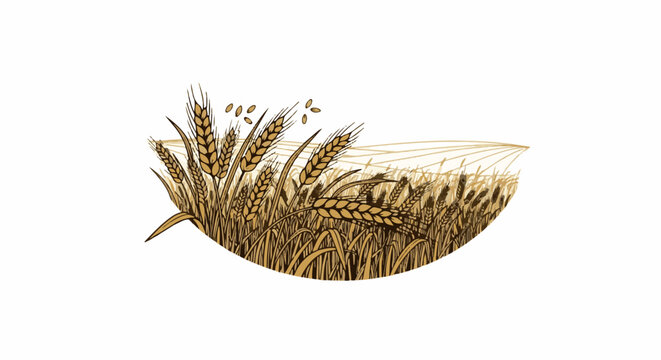 Illustration of golden wheat stalks with falling kernels in a curved field