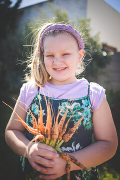Child holding freshly harvested carrot in garden