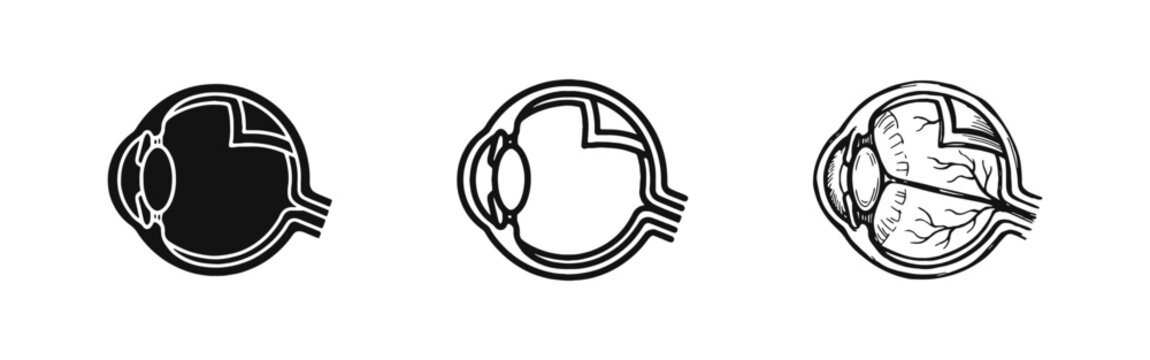 Human Eye Anatomy Cross Section Icon Set in Three Styles