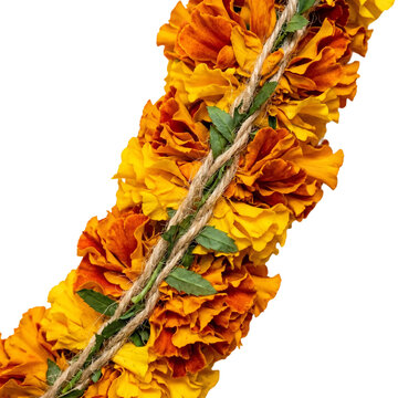 Traditional marigold flower garland with orange and yellow blossoms, festive floral lei for Indian wedding and Diwali celebration, decorative marigold string isolated on Transparent Background