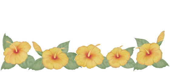 Watercolor yellow hibiscus horizontal line border with leaves and vines, hand painted tropical flower frame on transparent background for summer designs300dpi © URU