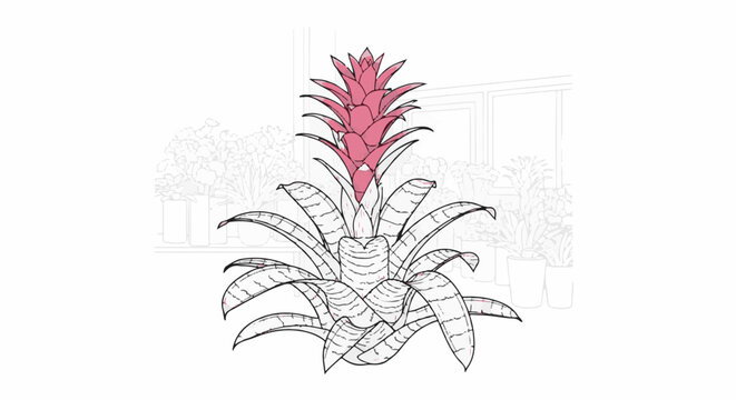 Striking pink-topped bromeliad plant with patterned leaves in sketch style