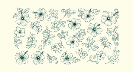 Hibiscus Flower Hand Drawn Line Art Illustration Set with Tropical Leaves and Decorative Floral Swirls © Bilkis Islam