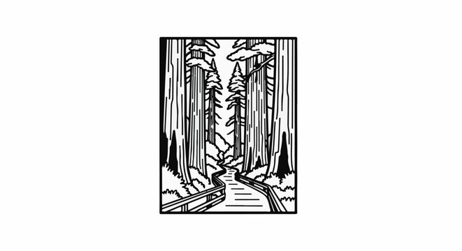A winding wooden walkway through a tall, dark forest with sunlit clouds