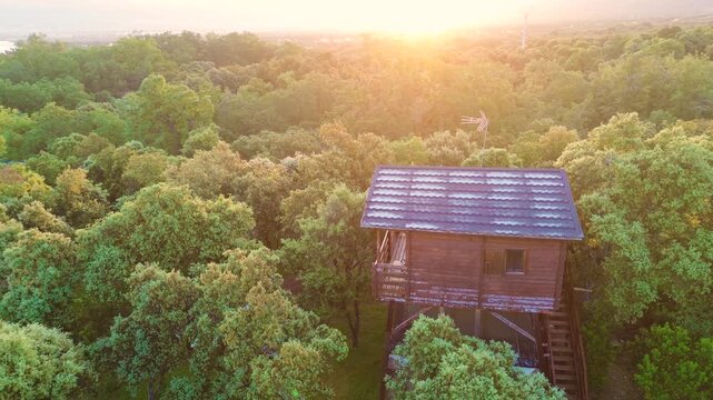 Drone pulling away from treehouse in vast forest at sunset, aerial reveal of nature landscape and eco living concept