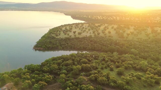 Aerial drone view of calm lake surrounded by lush green vegetation at sunrise, peaceful nature landscape in morning light