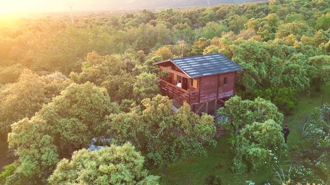 Drone pulling away from treehouse in vast forest at sunset, aerial reveal of nature landscape and eco living concept