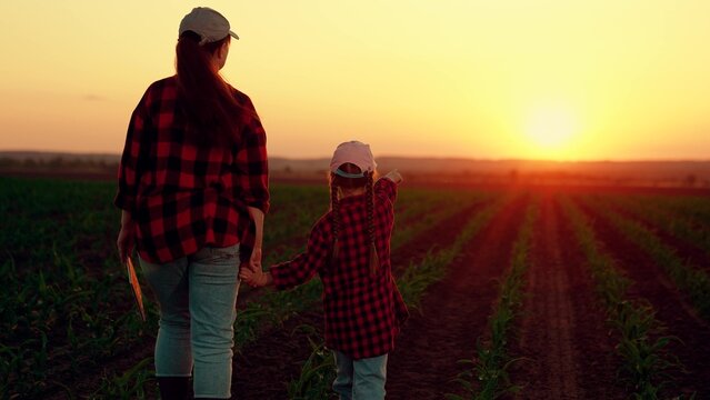 Farmer mom young daughter work together in green field of seedlings. Family business. Mother, child stroll hand in hand through plantation. Businesswoman mom kid inspect field seedlings. Child rearing