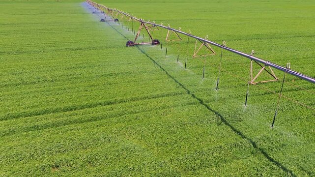 Aerial close view of center pivot irrigation system watering green field in Castilla La Mancha, rotating sprinklers and sustainable agriculture concept