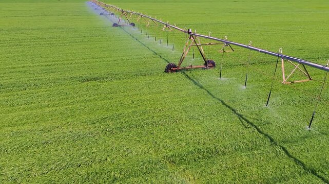 Aerial close view of center pivot irrigation system watering green field in Castilla La Mancha, rotating sprinklers and sustainable agriculture concept