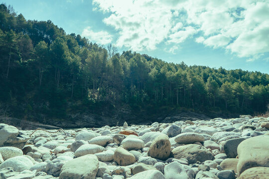 Rivi&egrave;re dans les pyr&eacute;n&eacute;es espagnol