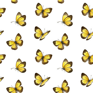 Seamless pattern of yellow and brown butterflies. Hand-painted watercolor of ixias flavipennis butterflies. Perfect for fabric, wallpaper, wrapping paper, stationery and spring designs