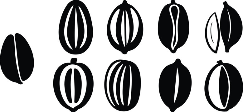 Vector Cocoa Bean Icon Set Chocolate Ingredient Agriculture Cocoa Plant Logo Collection Symbols