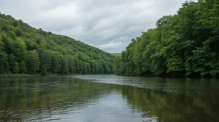 Obraz premium Misty river flows through lush green valley surrounded by dense forest under cloudy sky creating peaceful natural scene with reflections on water surface.