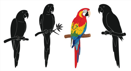 Colorful macaw and silhouetted parrots perched on branches © AMENA KHATUN
