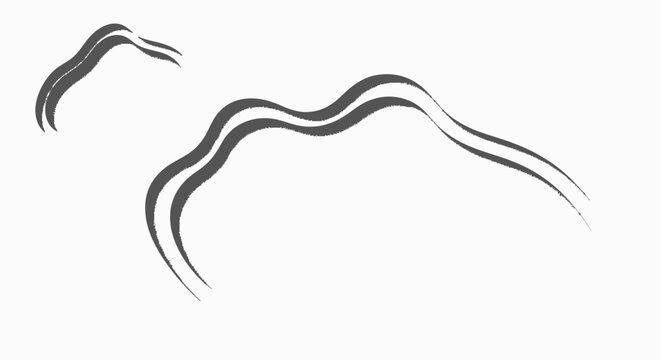 Worms are long thin animals.