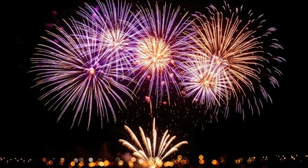 Obraz premium Spectacular fireworks display illuminates the night sky with vibrant colors and explosive beauty