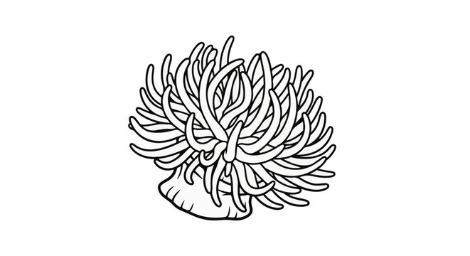 A detailed black and white outline illustration of a sea anemone