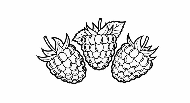 Three stylized raspberries with leaves and stems on white background