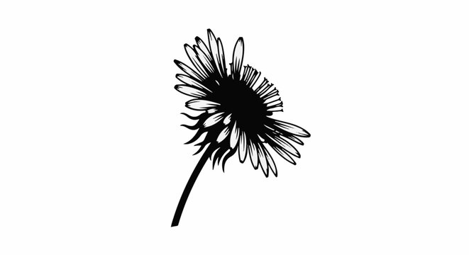 Stark black and white illustration of a single dandelion flower in profile